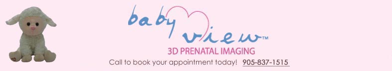 BabyView Header